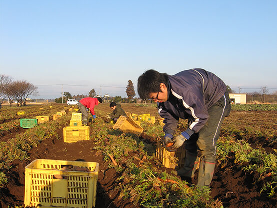 生産者育成