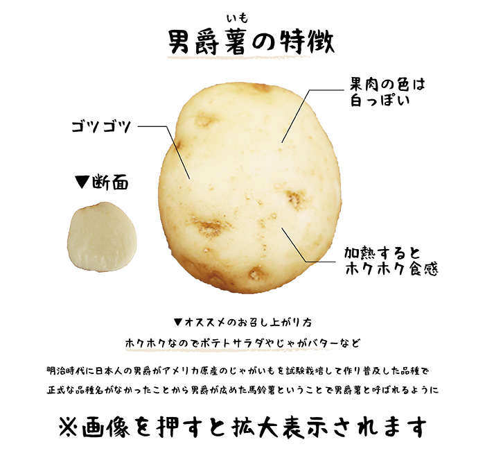 男爵薯の特徴