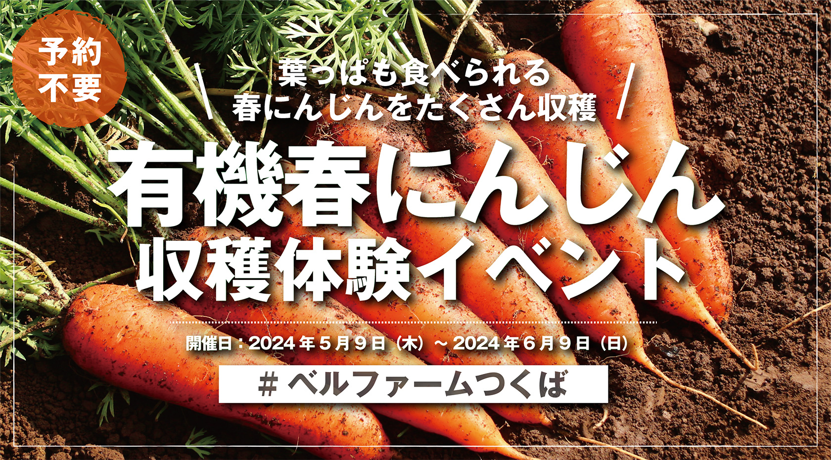 有機春にんじん収穫体験イベント2024-4バナー