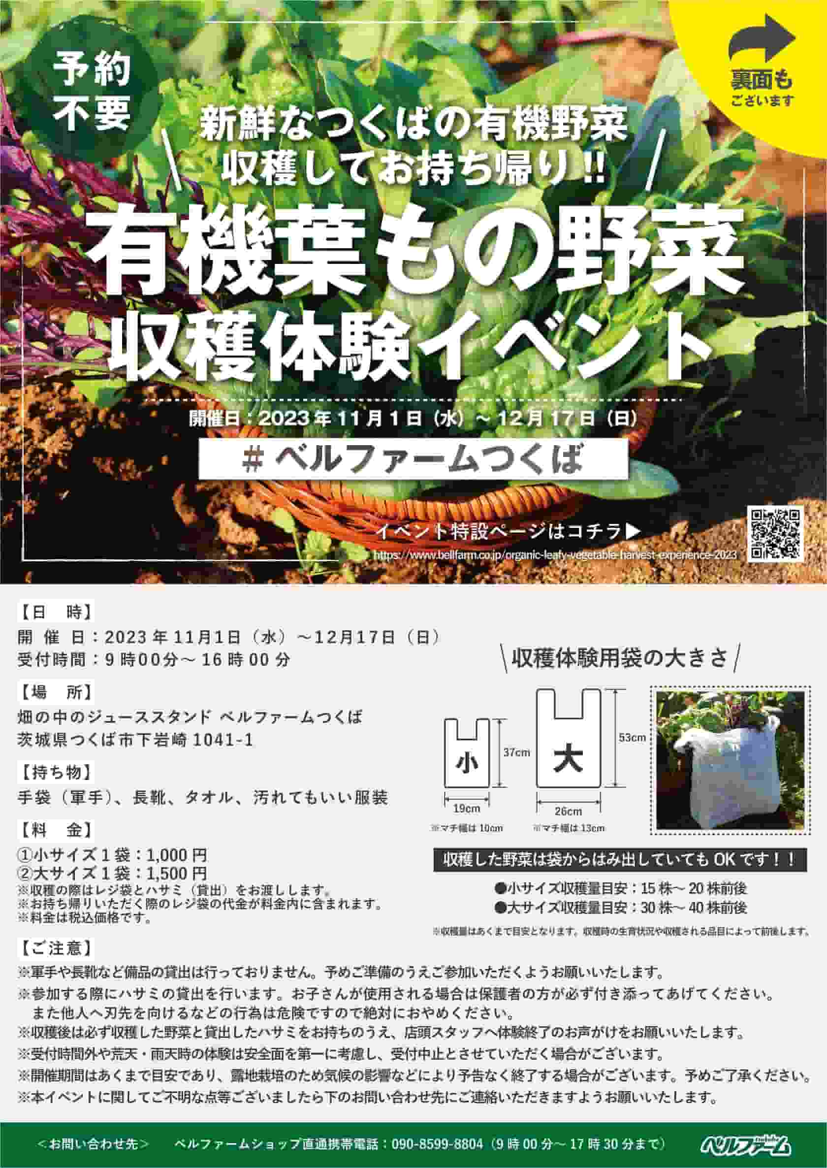 有機葉もの野菜収穫体験イベントフライヤー