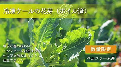 【冷凍】有機ケール花芽ボイル済（4袋入）