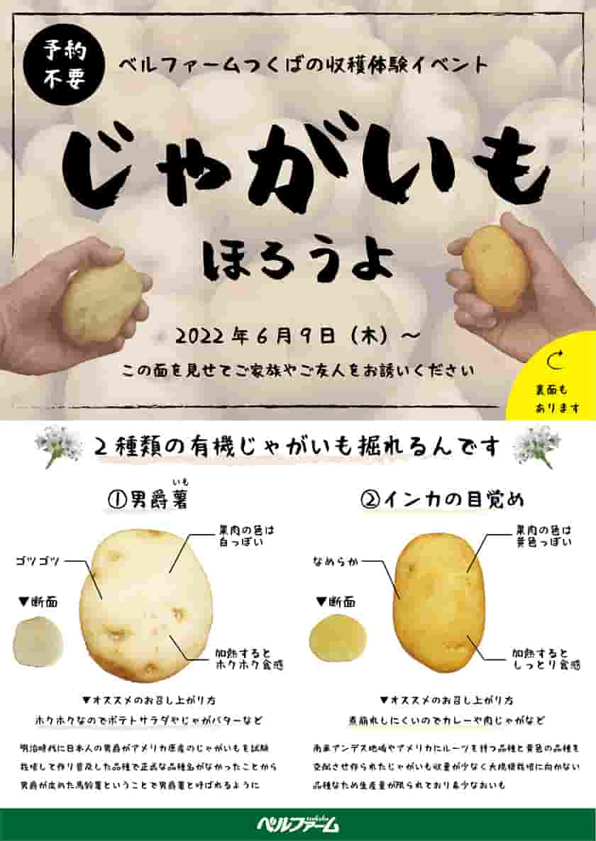 じゃがいもほろうよフライヤー