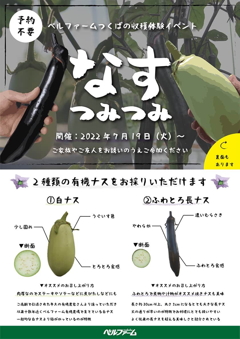 なすつみつみフライヤー