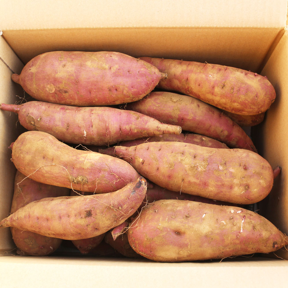 有機さつまいも 9kg