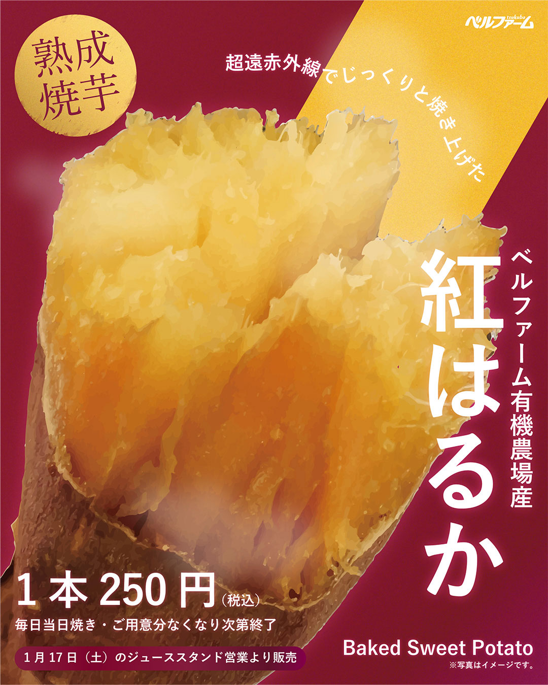 ベルファームの焼き芋販売