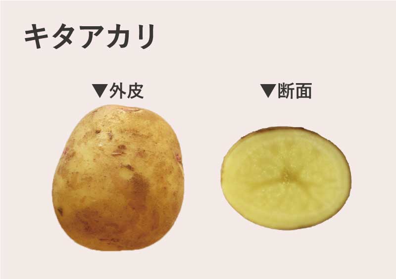 キタアカリ