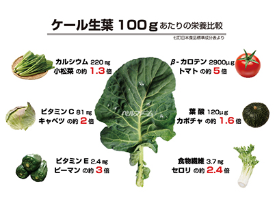 ケールと他の野菜