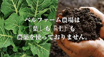 農薬不使用のこだわり