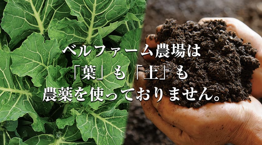 農薬不使用のこだわり