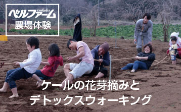 農場体験 ケールの花摘みとデトックスウォーキング 青汁通販 公式 ベルファーム 冷凍宅配 無農薬 無添加 原種ケール 特許製法で100 青汁を自社一貫生産し全国通販 農場体験 ケールの花摘みとデトックスウォーキング 青汁通販 公式 ベルファーム 冷凍宅配 無農薬 無添加 原種ケール 特許製法で100 青汁を自社一貫生産し全国通販