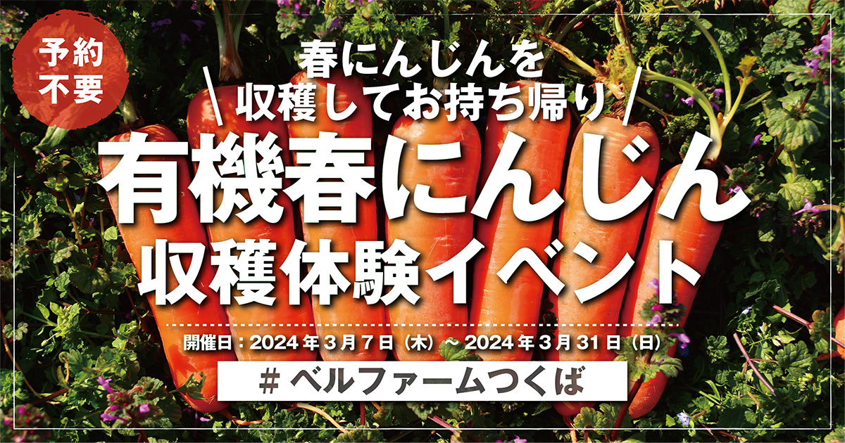 有機春にんじん収穫体験イベント